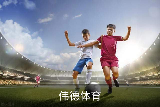 伟德体育公司简介